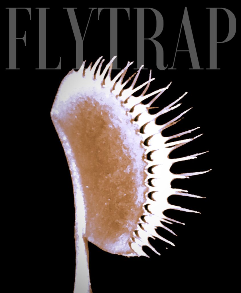 flytrap 2