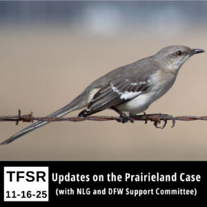 photo of a mockingbird resting on barbed wire with the words "TFSR 11-16-25 | Updates on the Prairieland Case (with NLG and DFW Support Committee)